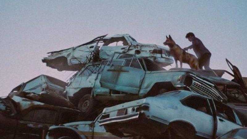 El ladrón de perros