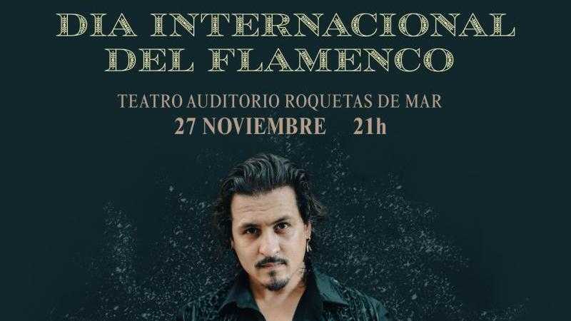 DÍA INTERNACIONAL DEL FLAMENCO