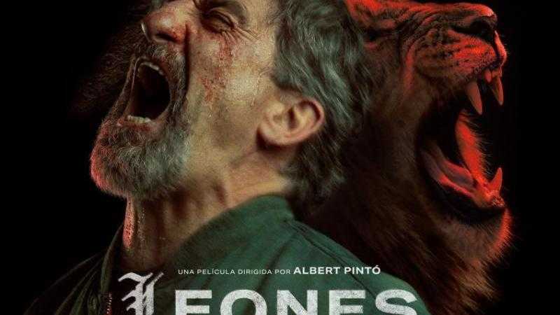 Leones en invierno