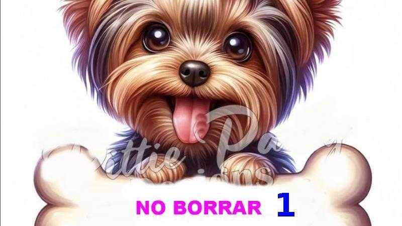 NO BORRAR 1