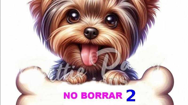 NO BORRAR 2