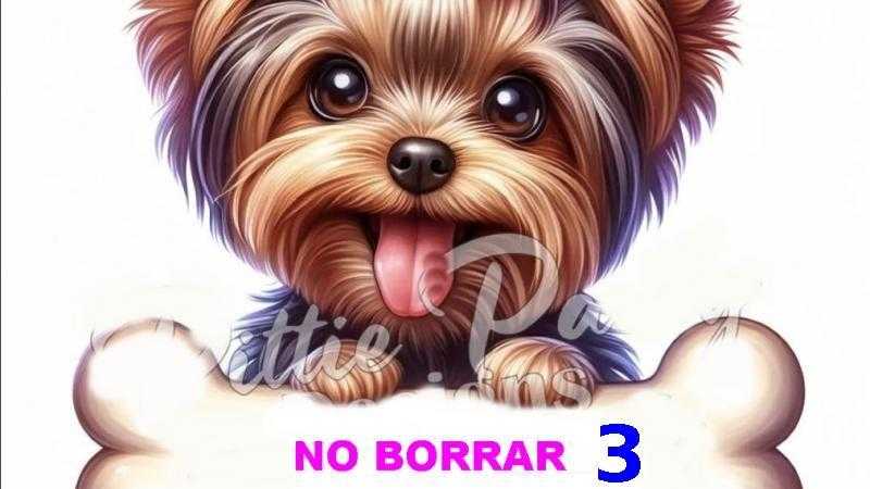 NO BORRAR 3