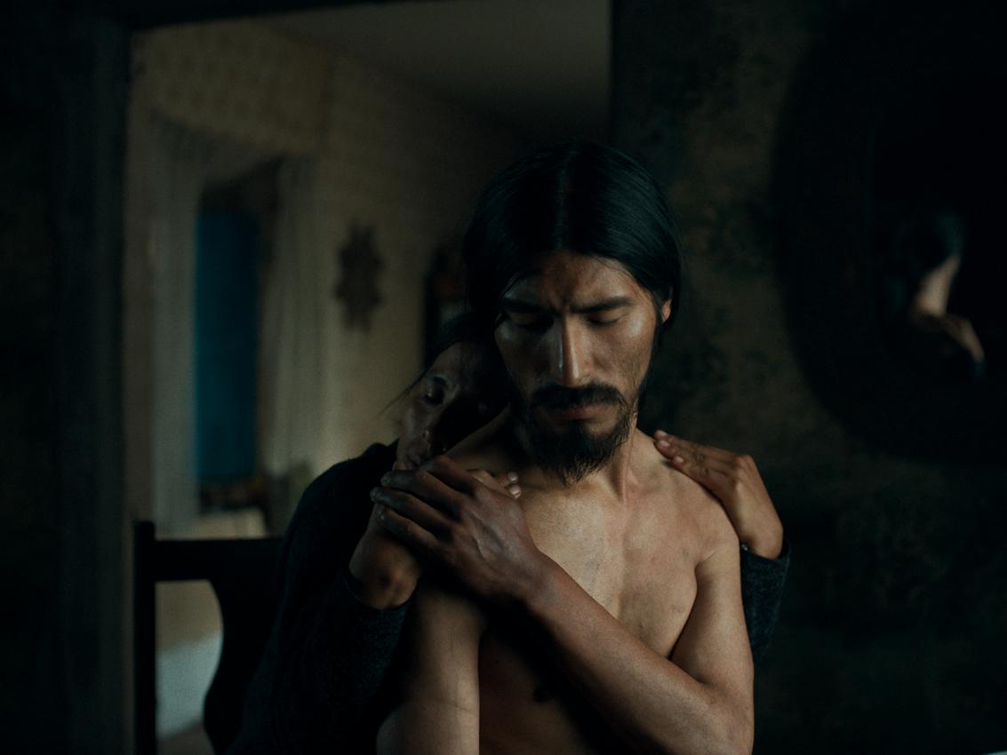 LA ANATOMÍA DE LOS CABALLOS