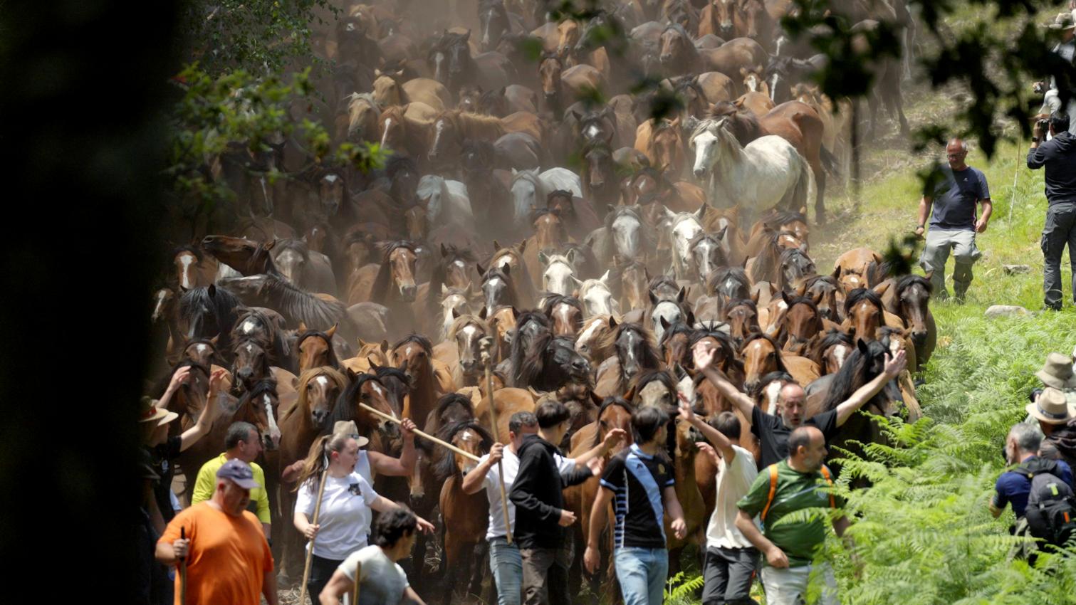 FILLOS DO VENTO: A RAPA