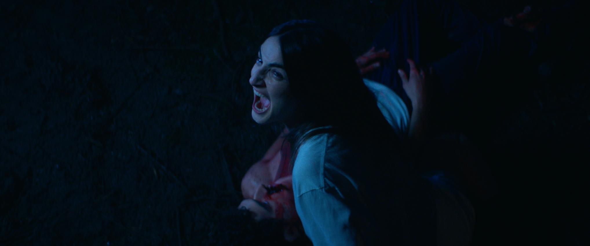 LA CASA EN EL ÁRBOL