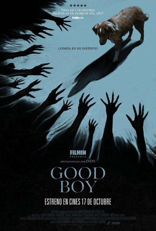 Good Boy