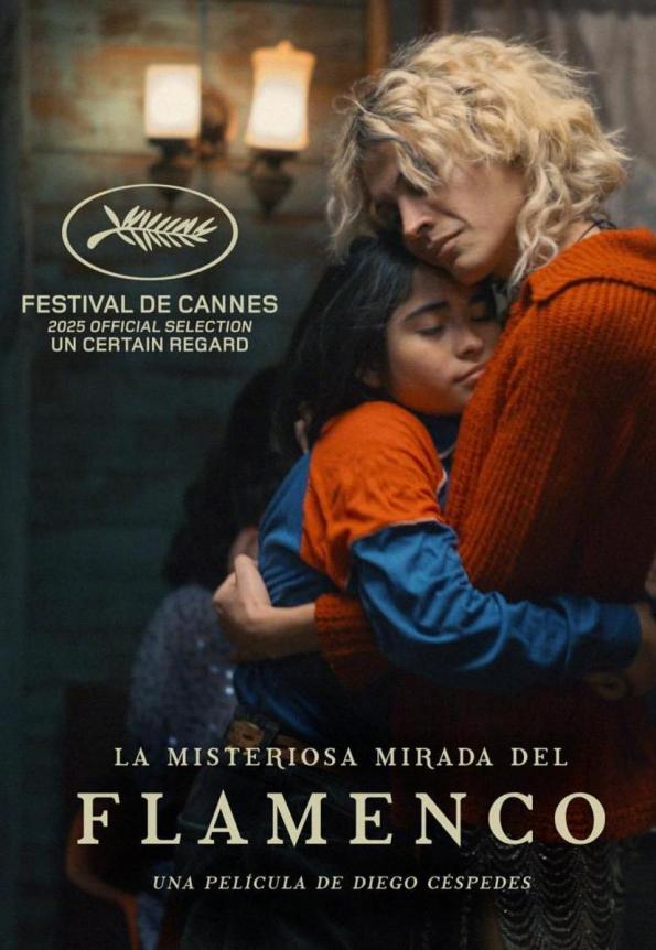 La misteriosa mirada del flamenco