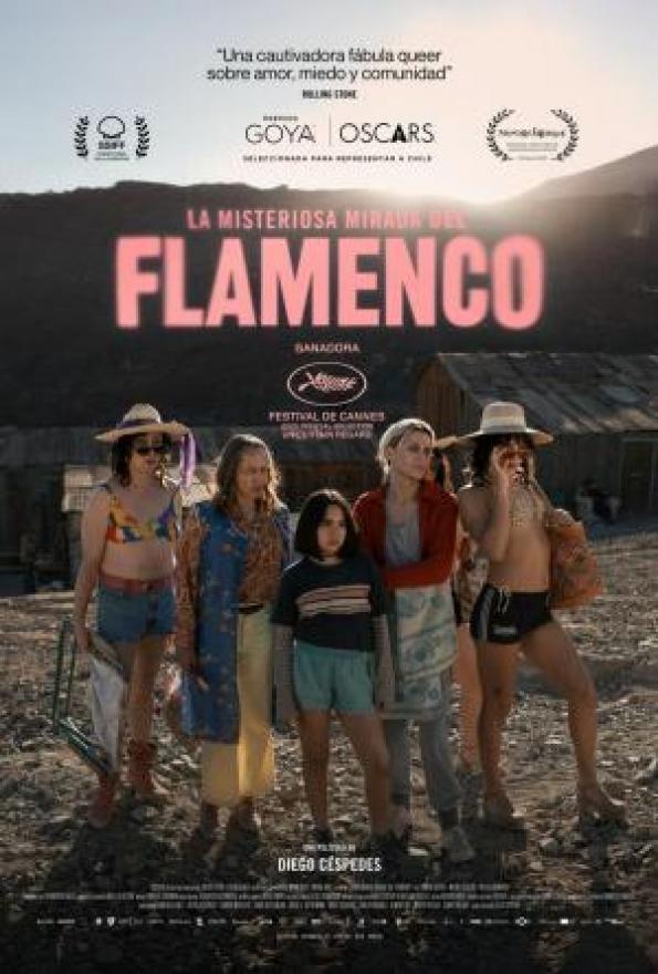 La misteriosa mirada del flamenco