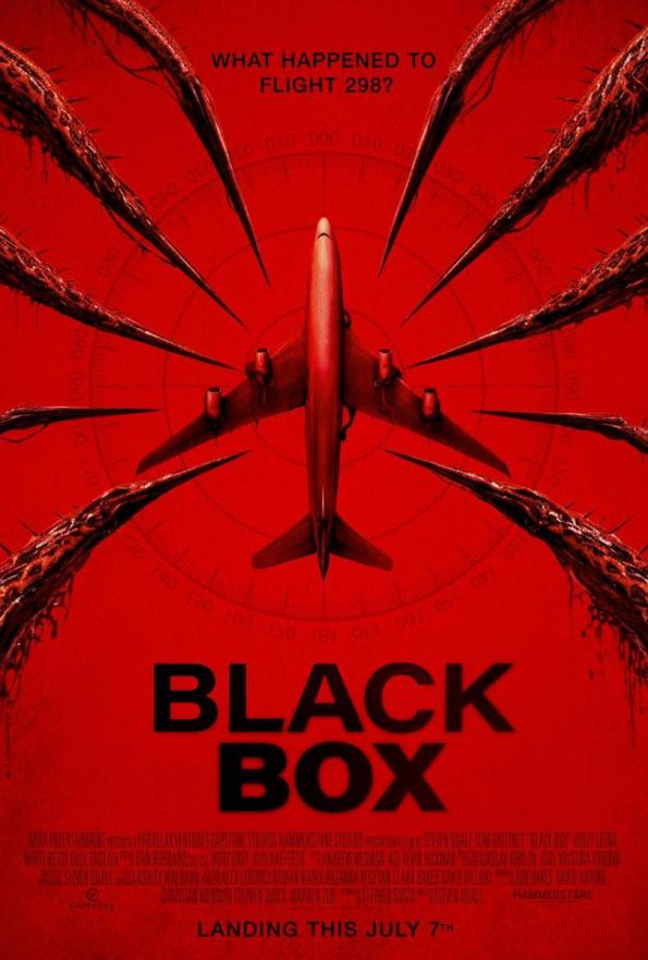 Black Box: Vuelo 298