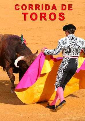 Corrida de Toros
