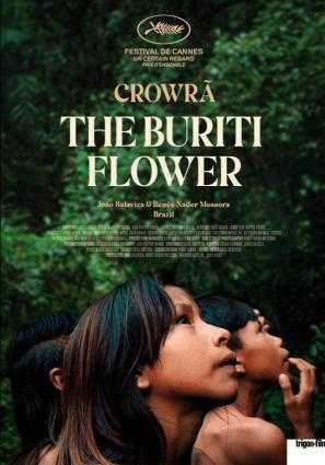 Cartel:  La flor de Burití