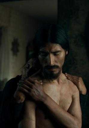 LA ANATOMÍA DE LOS CABALLOS