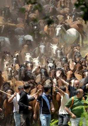 FILLOS DO VENTO: A RAPA