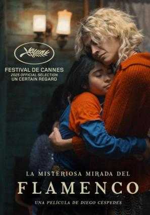 La misteriosa mirada del flamenco