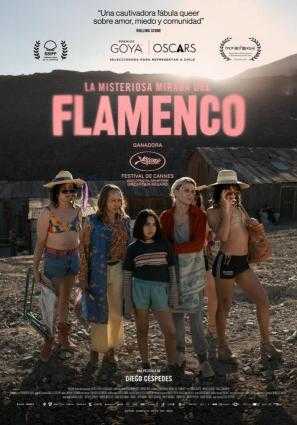 La Misteriosa Mirada Del Flamenco