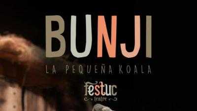 Bunji, la pequeña koala - TITIRIRED