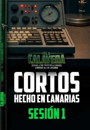 CORTOS CANARIOS 2 FIC2026