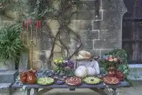 Cena Medieval 2
