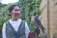 Cena Medieval 4