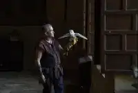 Cena Medieval 8